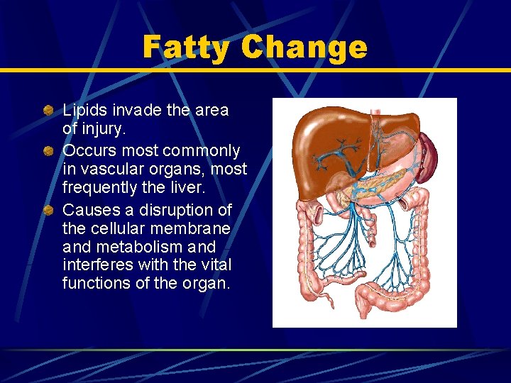 Fatty Change Lipids invade the area of injury. Occurs most commonly in vascular organs,