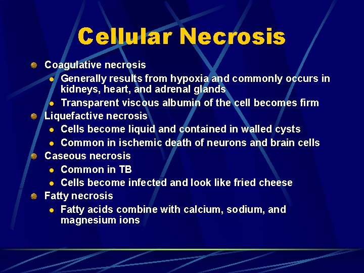 Cellular Necrosis Coagulative necrosis l Generally results from hypoxia and commonly occurs in kidneys,