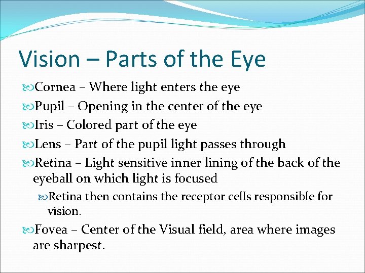 Vision – Parts of the Eye Cornea – Where light enters the eye Pupil