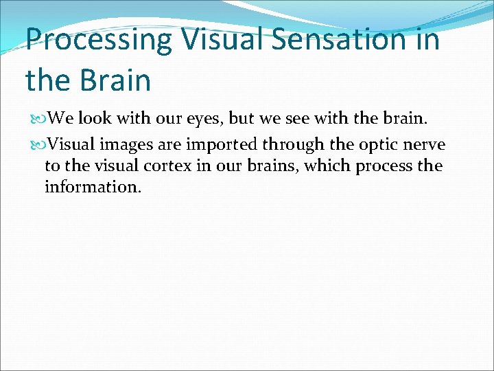 Processing Visual Sensation in the Brain We look with our eyes, but we see