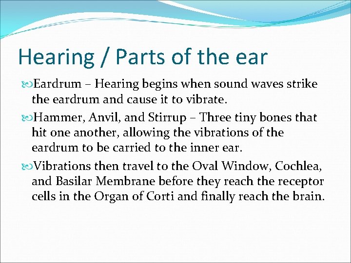 Hearing / Parts of the ear Eardrum – Hearing begins when sound waves strike