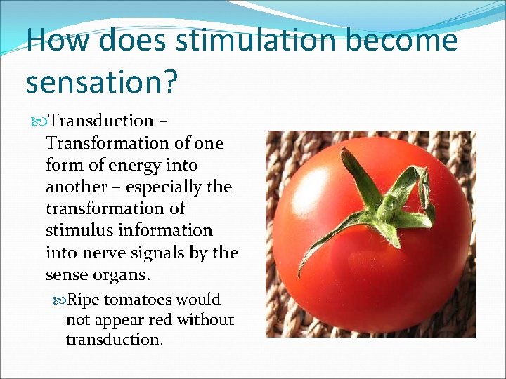 How does stimulation become sensation? Transduction – Transformation of one form of energy into