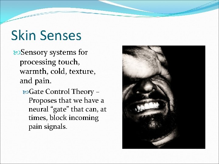 Skin Senses Sensory systems for processing touch, warmth, cold, texture, and pain. Gate Control