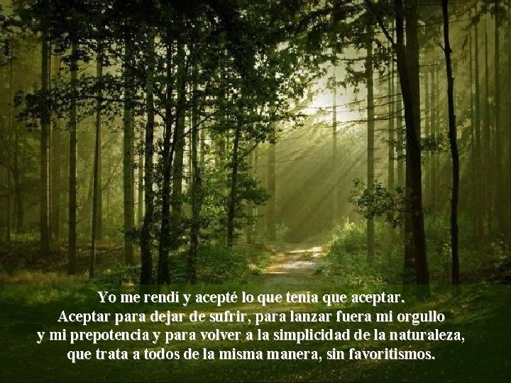 Yo me rendí y acepté lo que tenía que aceptar. Aceptar para dejar de Yo me rendí y acepté lo que tenía que aceptar. Aceptar para dejar de