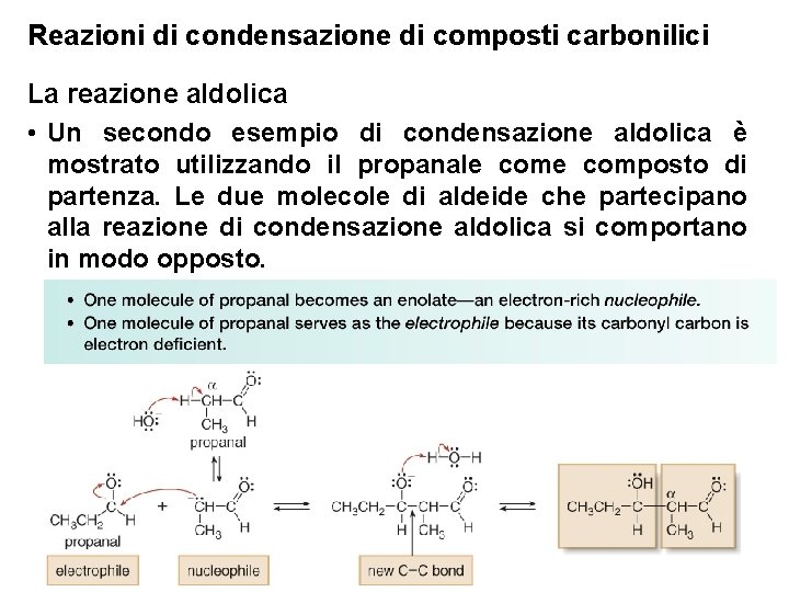 Reazioni di condensazione di composti carbonilici La reazione aldolica • Un secondo esempio di