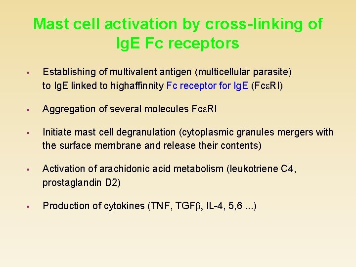 Mast cell activation by cross-linking of Ig. E Fc receptors § Establishing of multivalent