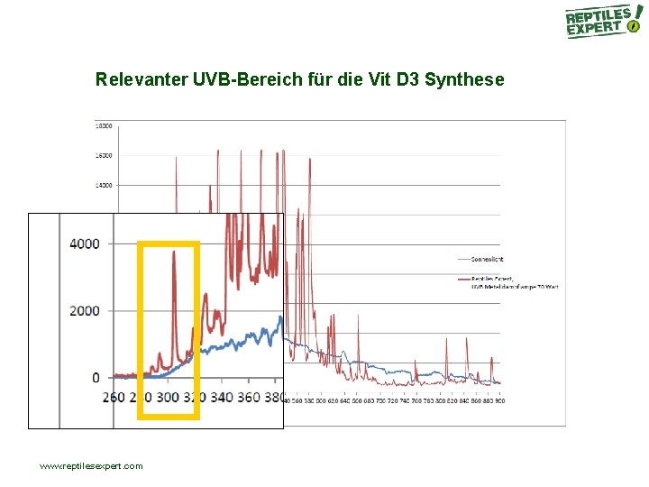 Relevanter UVB-Bereich für die Vit D 3 Synthese www. reptilesexpert. com Relevanter UVB-Bereich für die Vit D 3 Synthese www. reptilesexpert. com