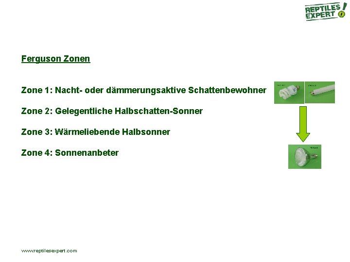 Ferguson Zone 1: Nacht- oder dämmerungsaktive Schattenbewohner Zone 2: Gelegentliche Halbschatten-Sonner Zone 3: Wärmeliebende Ferguson Zone 1: Nacht- oder dämmerungsaktive Schattenbewohner Zone 2: Gelegentliche Halbschatten-Sonner Zone 3: Wärmeliebende