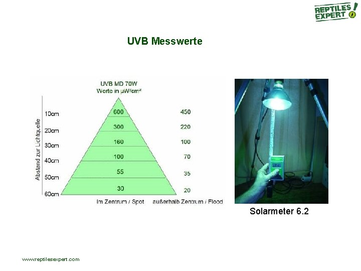 UVB Messwerte Solarmeter 6. 2 www. reptilesexpert. com UVB Messwerte Solarmeter 6. 2 www. reptilesexpert. com
