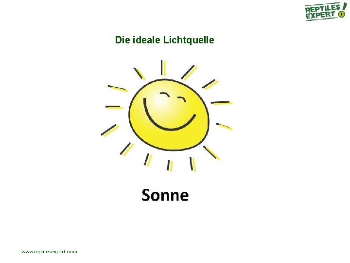 Die ideale Lichtquelle www. reptilesexpert. com Die ideale Lichtquelle www. reptilesexpert. com