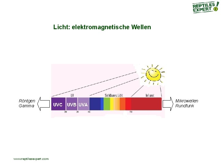 Licht: elektromagnetische Wellen Röntgen Gamma www. reptilesexpert. com Mikrowellen Rundfunk Licht: elektromagnetische Wellen Röntgen Gamma www. reptilesexpert. com Mikrowellen Rundfunk