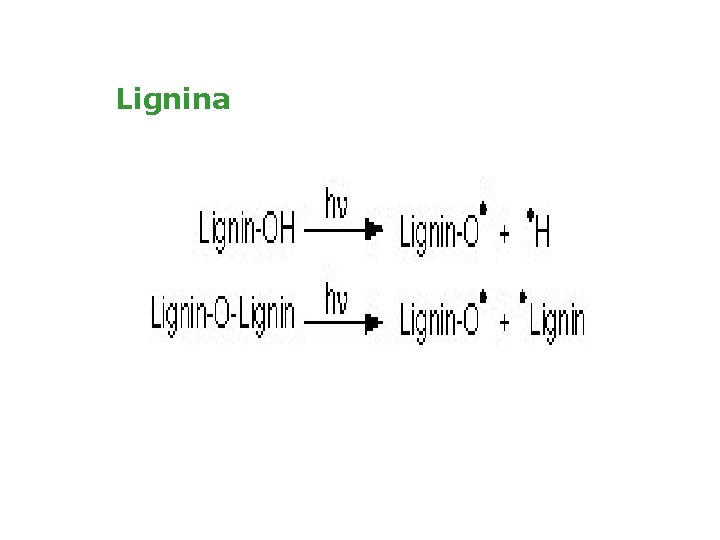 Lignina 