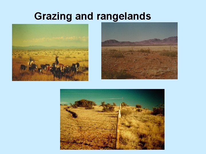 Grazing and rangelands 