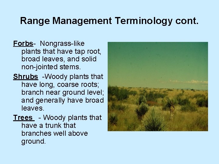 Range Management Terminology cont. Forbs- Nongrass-like plants that have tap root, broad leaves, and