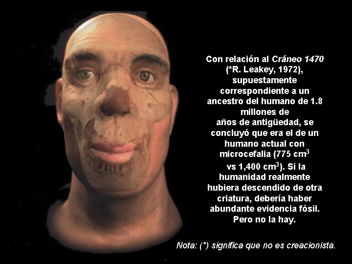 Con relación al Cráneo 1470 (*R. Leakey, 1972), supuestamente correspondiente a un ancestro del