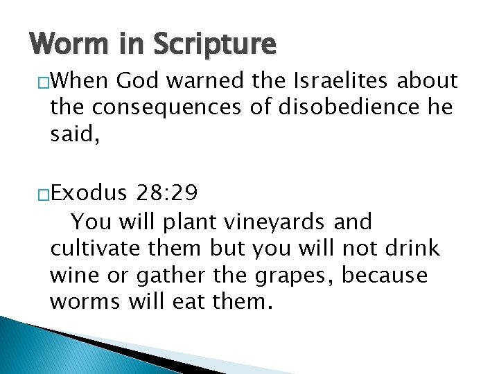 Worm in Scripture �When God warned the Israelites about the consequences of disobedience he Worm in Scripture �When God warned the Israelites about the consequences of disobedience he