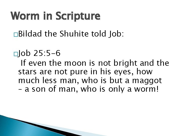 Worm in Scripture �Bildad �Job the Shuhite told Job: 25: 5 -6 If even Worm in Scripture �Bildad �Job the Shuhite told Job: 25: 5 -6 If even
