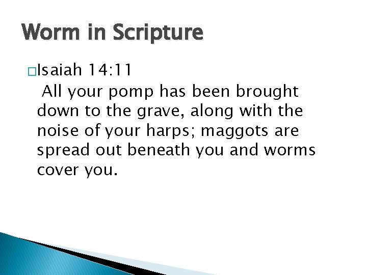 Worm in Scripture �Isaiah 14: 11 All your pomp has been brought down to Worm in Scripture �Isaiah 14: 11 All your pomp has been brought down to