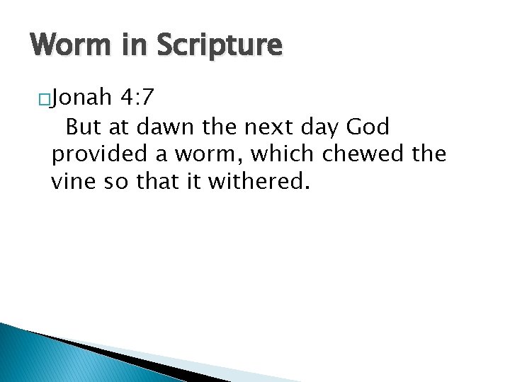 Worm in Scripture �Jonah 4: 7 But at dawn the next day God provided Worm in Scripture �Jonah 4: 7 But at dawn the next day God provided