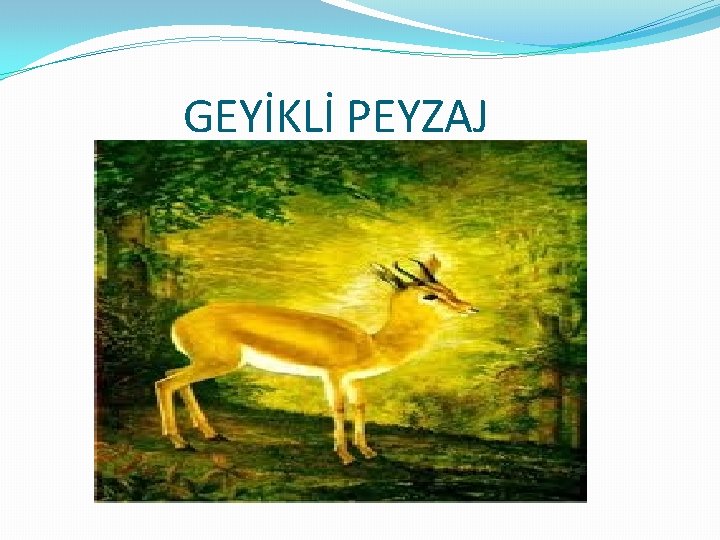 GEYİKLİ PEYZAJ GEYİKLİ PEYZAJ