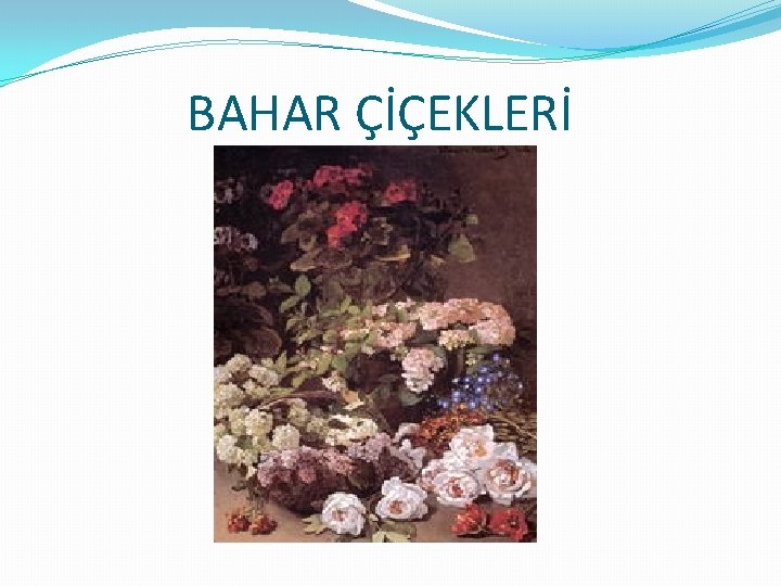 BAHAR ÇİÇEKLERİ BAHAR ÇİÇEKLERİ