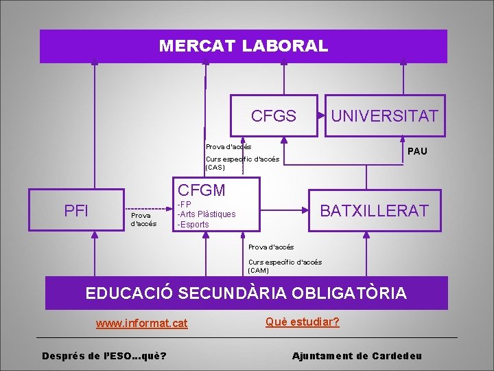 MERCAT LABORAL CFGS UNIVERSITAT Prova d’accés PAU Curs específic d’accés (CAS) CFGM PFI Prova