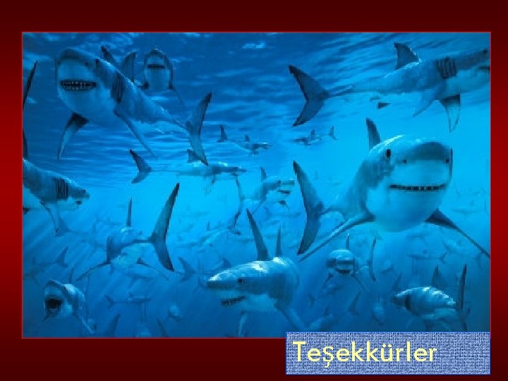 Teşekkürler 