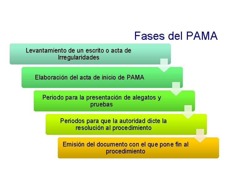 Fases del PAMA Levantamiento de un escrito o acta de Irregularidades Elaboración del acta