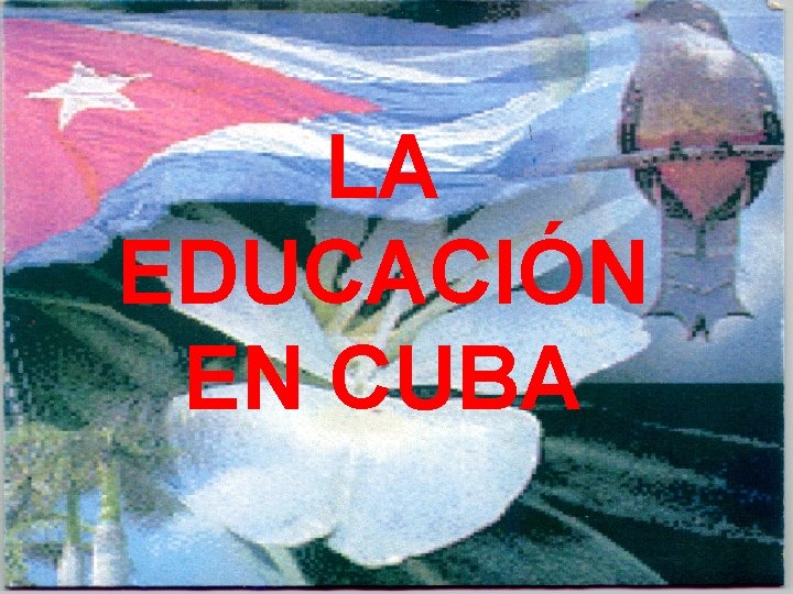 LA EDUCACIÓN EN CUBA 