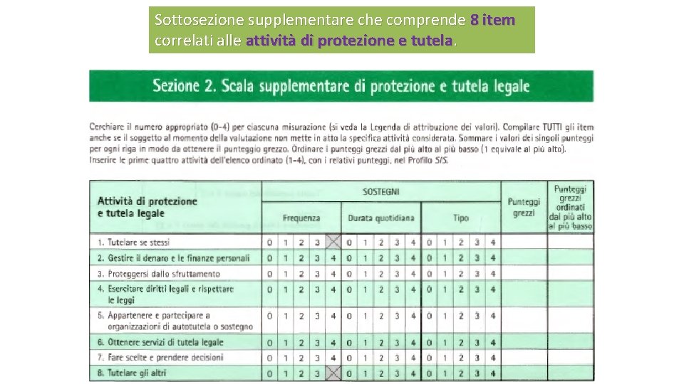 Sottosezione supplementare che comprende 8 item correlati alle attività di protezione e tutela. 71