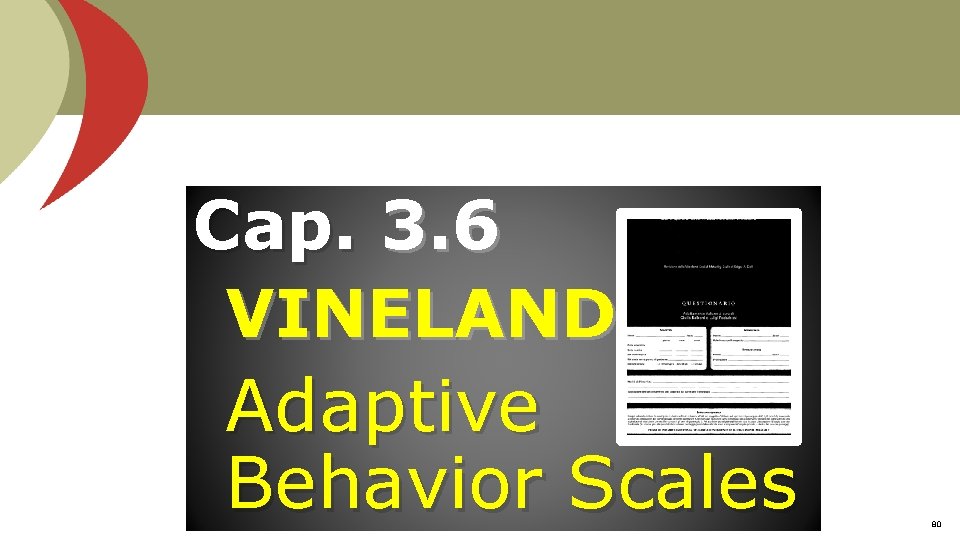 Cap. 3. 6 VINELAND Adaptive Behavior Scales 80 