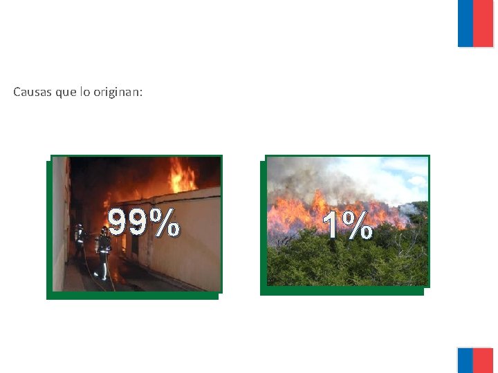 Causas que lo originan: 99% 1% 