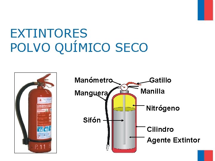 EXTINTORES POLVO QUÍMICO SECO Manómetro Manguera Gatillo Manilla Nitrógeno Sifón Cilindro Agente Extintor 