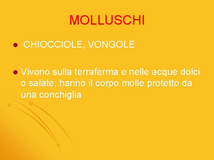 MOLLUSCHI l l CHIOCCIOLE, VONGOLE Vivono sulla terraferma e nelle acque dolci o salate;