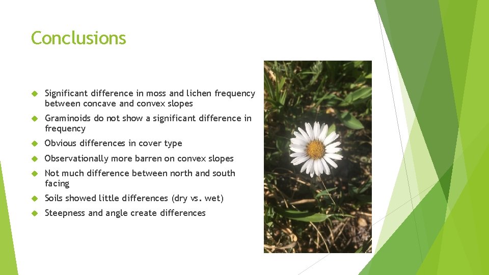 Conclusions Significant difference in moss and lichen frequency between concave and convex slopes Graminoids