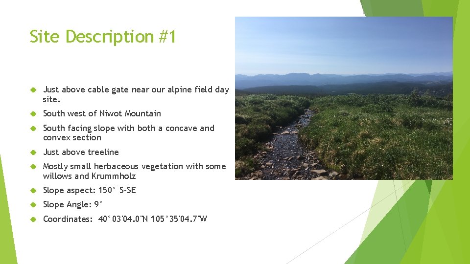 Site Description #1 Just above cable gate near our alpine field day site. South