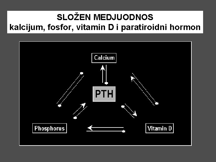 SLOŽEN MEDJUODNOS kalcijum, fosfor, vitamin D i paratiroidni hormon 