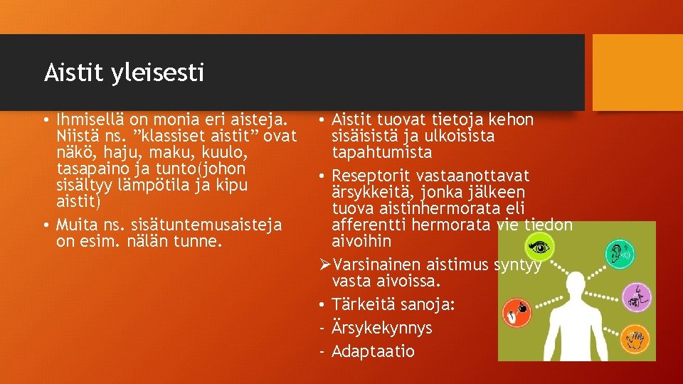 Aistit yleisesti • Ihmisellä on monia eri aisteja. Niistä ns. ”klassiset aistit” ovat näkö,