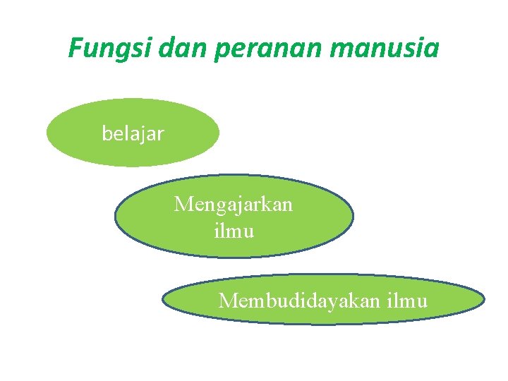 Fungsi dan peranan manusia belajar Mengajarkan ilmu Membudidayakan ilmu 