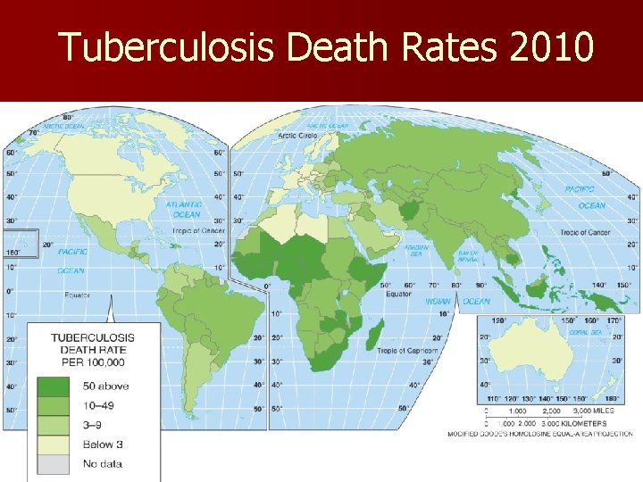 Tuberculosis Death Rates 2010 Fig. 2 -24: The tuberculosis death rate is a good Tuberculosis Death Rates 2010 Fig. 2 -24: The tuberculosis death rate is a good