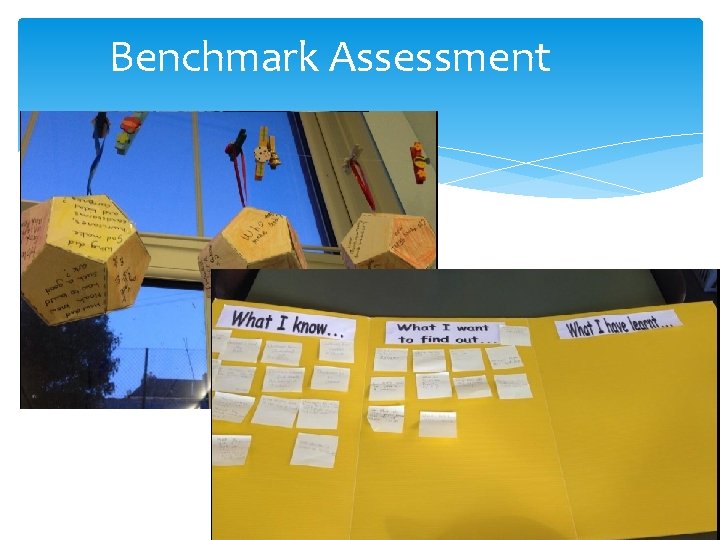 Benchmark Assessment 