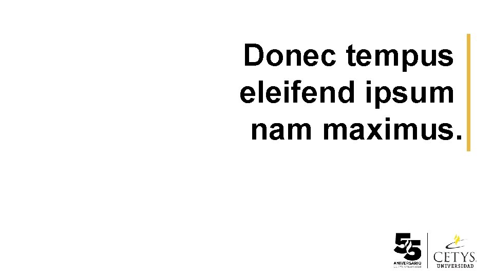 Donec tempus eleifend ipsum nam maximus. 