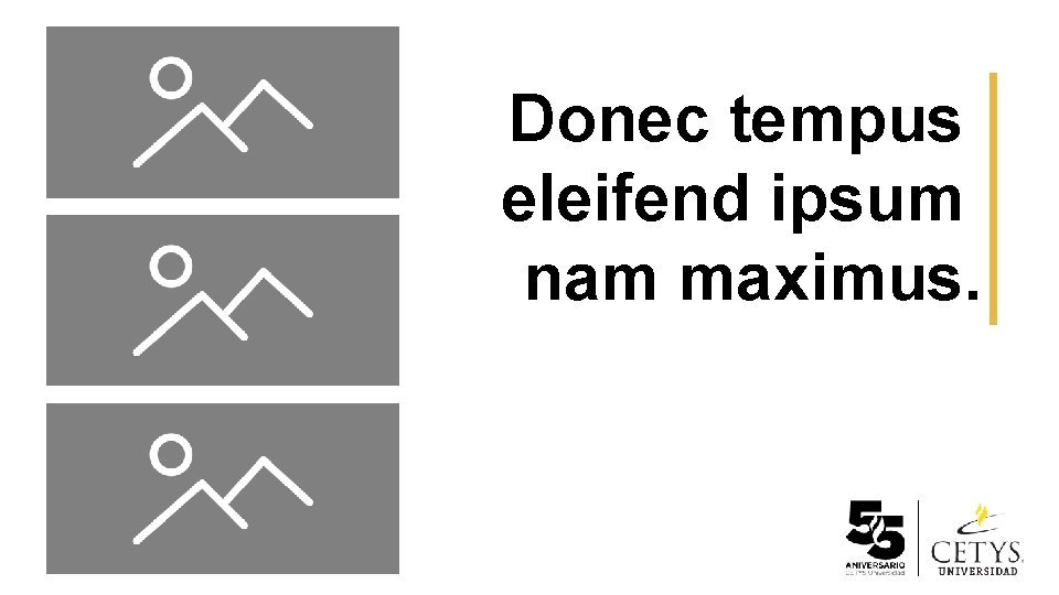 Donec tempus eleifend ipsum nam maximus. 