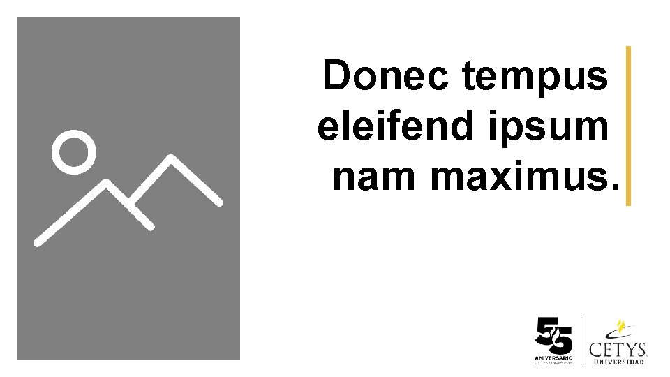 Donec tempus eleifend ipsum nam maximus. 