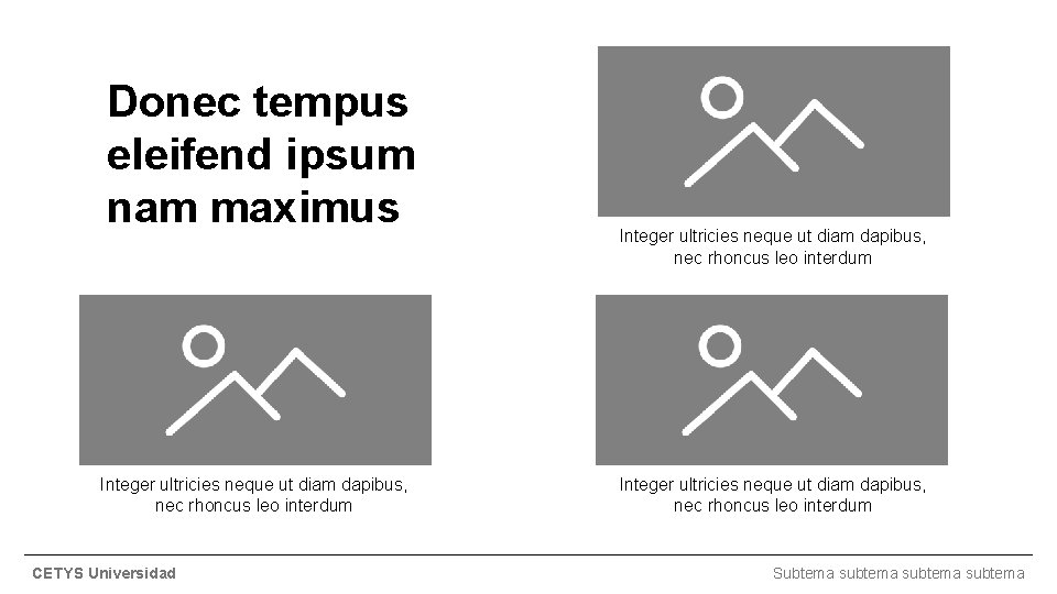 Donec tempus eleifend ipsum nam maximus Integer ultricies neque ut diam dapibus, nec rhoncus