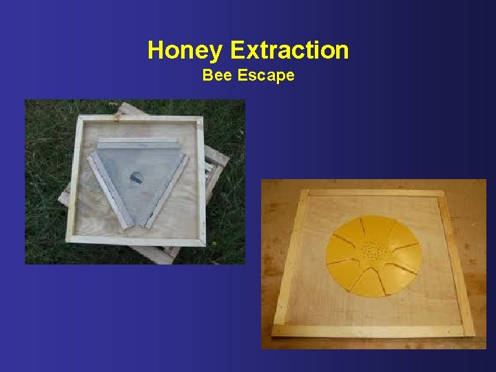 Honey Extraction Bee Escape 