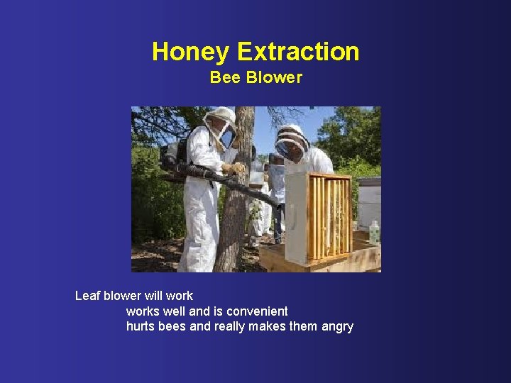 Honey Extraction Bee Blower Leaf blower will works well and is convenient hurts bees