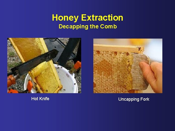 Honey Extraction Decapping the Comb Hot Knife Uncapping Fork 