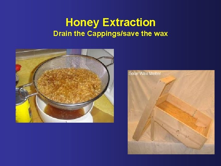 Honey Extraction Drain the Cappings/save the wax 