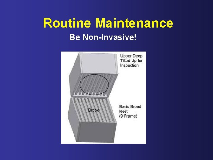 Routine Maintenance Be Non-Invasive! 